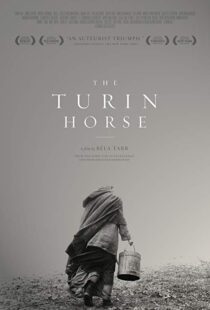دانلود فیلم The Turin Horse 201110493-1981536454