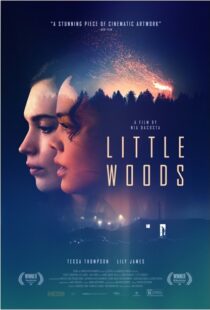 دانلود فیلم Little Woods 201822292-2103302997