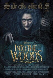 دانلود فیلم Into the Woods 20143675-759216830
