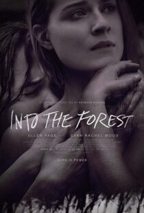 دانلود فیلم Into the Forest 20159776-2098356186