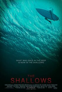 دانلود فیلم The Shallows 20166608-157954432