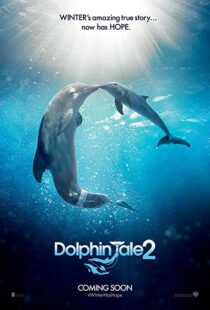 دانلود فیلم Dolphin Tale 2 201421312-801063884