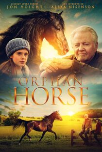 دانلود فیلم Orphan Horse 20188125-406015359