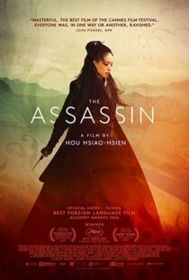 دانلود فیلم The Assassin 201513760-879099529