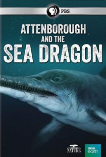 دانلود مستند Attenborough and the Sea Dragon 20188753-1720043972