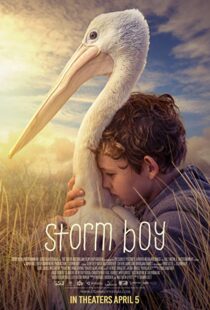 دانلود فیلم Storm Boy 20199003-2059907665