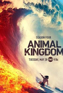 دانلود سریال Animal Kingdom18326-494738737