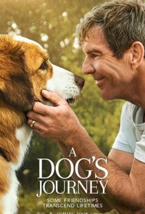 دانلود فیلم هندی A Dog’s Journey 201915660-1063816734
