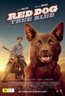 دانلود فیلم Red Dog: True Blue 20168899-1690863785