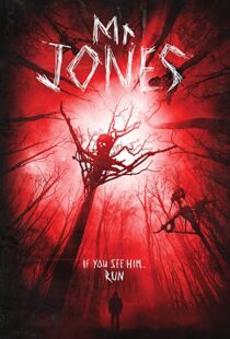 دانلود فیلم Mr. Jones 201337611-1819246037