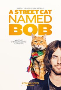دانلود فیلم A Street Cat Named Bob 201641621-2069507946