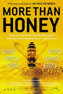 دانلود مستند More Than Honey 201240978-1353807740