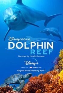 دانلود مستند Dolphin Reef 201838724-1529266310