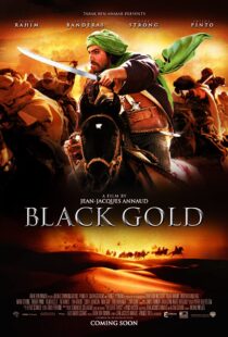 دانلود فیلم Day of the Falcon 201144386-286480750