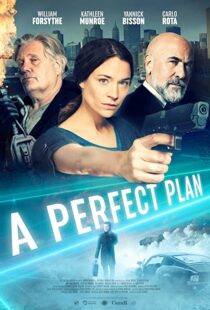 دانلود فیلم A Perfect Plan 202043957-1551569138