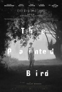 دانلود فیلم The Painted Bird 201943285-1036733838