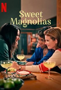دانلود سریال Sweet Magnolias47511-2085930397