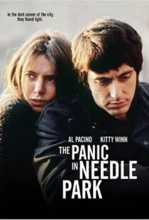 دانلود فیلم The Panic in Needle Park 197150558-1578444259
