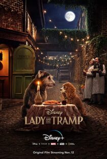 دانلود فیلم Lady and the Tramp 201951922-211869988