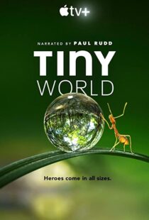 دانلود مستند Tiny World52124-133696419