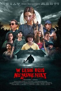 دانلود فیلم Nobody Sleeps in the Woods Tonight 202053095-1641206132