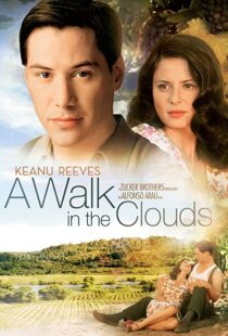 دانلود فیلم A Walk in the Clouds 199553815-2069654628