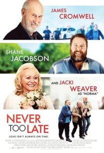 دانلود فیلم Never Too Late 202055190-355701304