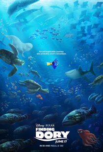 دانلود انیمیشن Finding Dory 201658678-2070654241