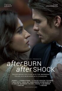 دانلود فیلم Afterburn/Aftershock 201777302-445312062