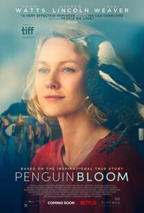 دانلود فیلم Penguin Bloom 202073302-864931113