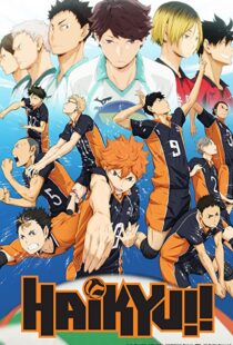 دانلود انیمه Haikyu!!80601-1751335876