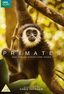 دانلود مستند Primates77865-1293236484