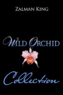 دانلود فیلم Wild Orchid 198980233-484131658