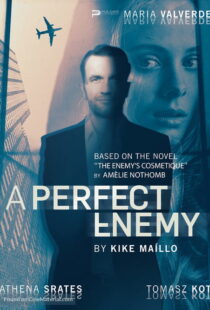 دانلود فیلم A Perfect Enemy 202082295-1180241304