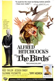 دانلود فیلم The Birds 196382372-2055774983