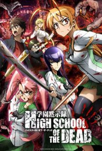دانلود انیمه Highschool of the Dead95235-761028010