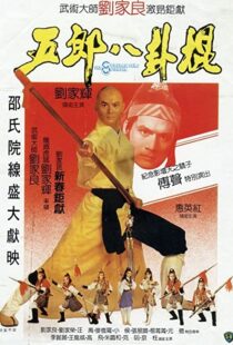 دانلود فیلم The Eight Diagram Pole Fighter 198484893-373043207