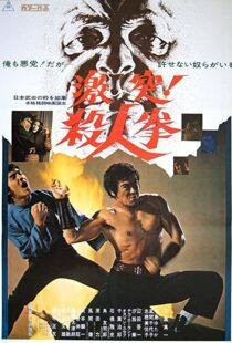 دانلود فیلم The Street Fighter 197483791-1646519493