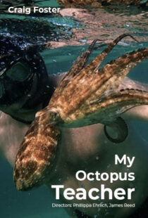 دانلود مستند My Octopus Teacher 202082343-1693126958