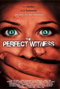 دانلود فیلم The Perfect Witness 200796937-500465006