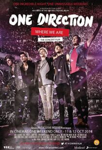 دانلود مستند One Direction: Where We Are – The Concert Film 2014100436-1676210583