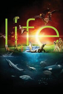 دانلود مستند Life96080-760771124