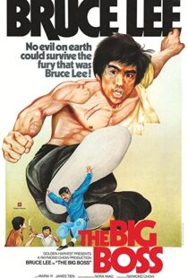 دانلود فیلم The Big Boss 197197560-625244723