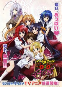دانلود انیمه High School DxD100222-1088739409