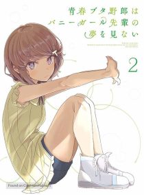 دانلود انیمه Rascal Does Not Dream of Bunny Girl Senpai95225-1077373341