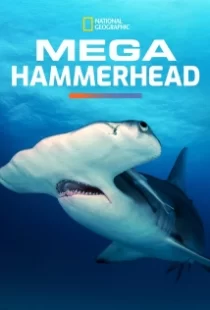 دانلود مستند Mega Hammerhead 2016103122-708621571