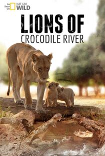 دانلود مستند Lions of Crocodile River 2007103328-347157451