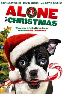 دانلود فیلم Alone for Christmas 2013107883-710303578