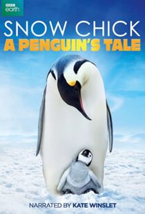 دانلود مستند Snow Chick: A Penguin’s Tale 2015109604-319107487