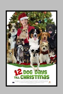 دانلود فیلم 12 Dog Days Till Christmas 2014100712-841753715